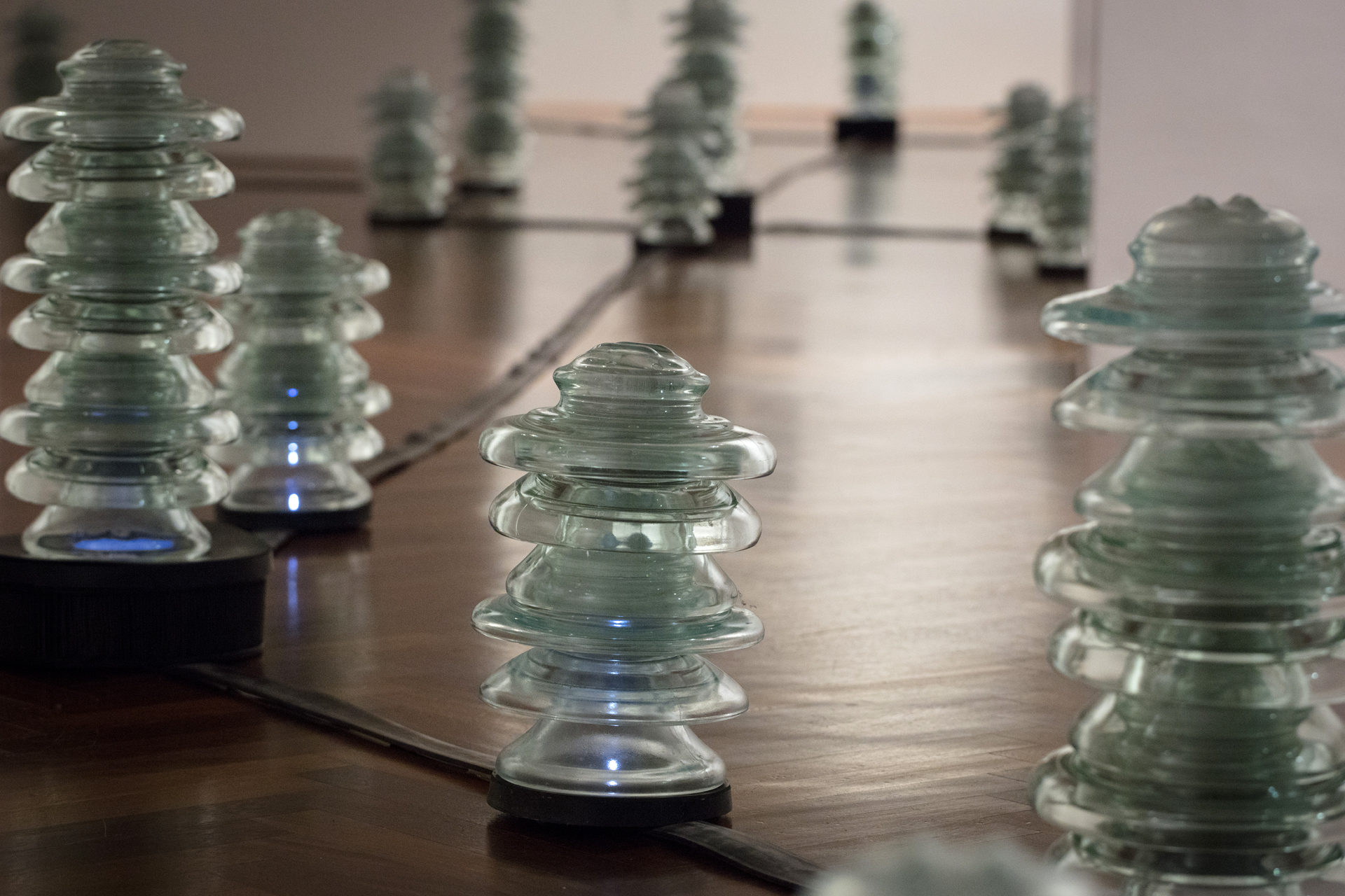 Universo MicroMacro - evento online